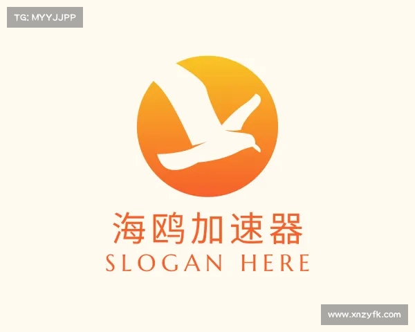 发现海鸥加速器